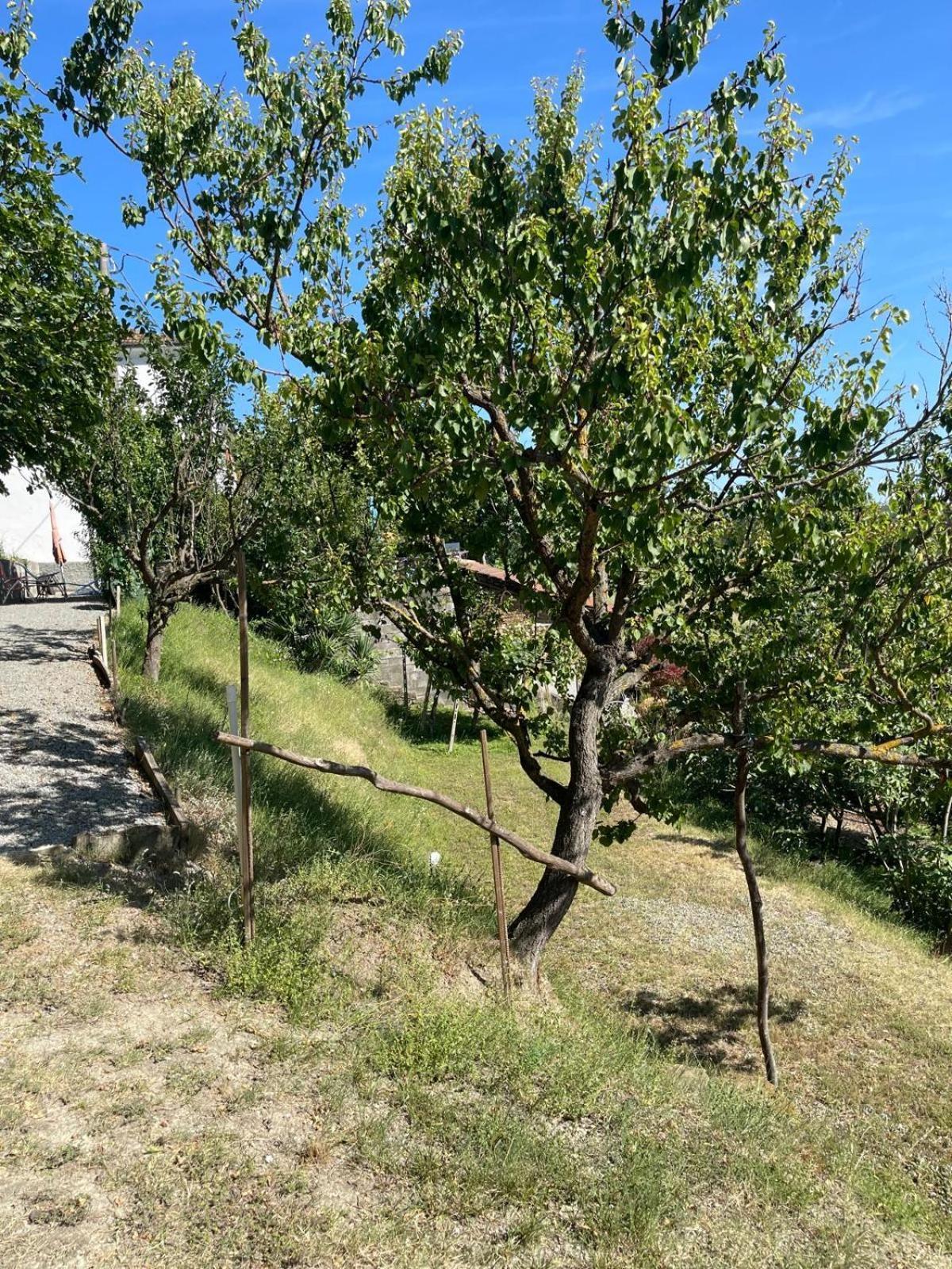 Casa Petra - Casa Tre Stelle - Casa Caneva - Ferien Fuer 6-14 Personen Ponti المظهر الخارجي الصورة